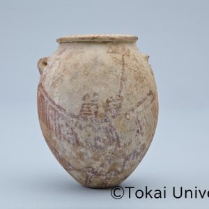 Collection ｜ 東海大学古代エジプト及び中近東コレクション