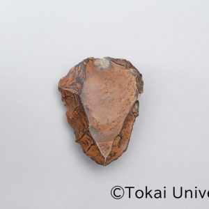 ヌビア型ルヴァロワ石核